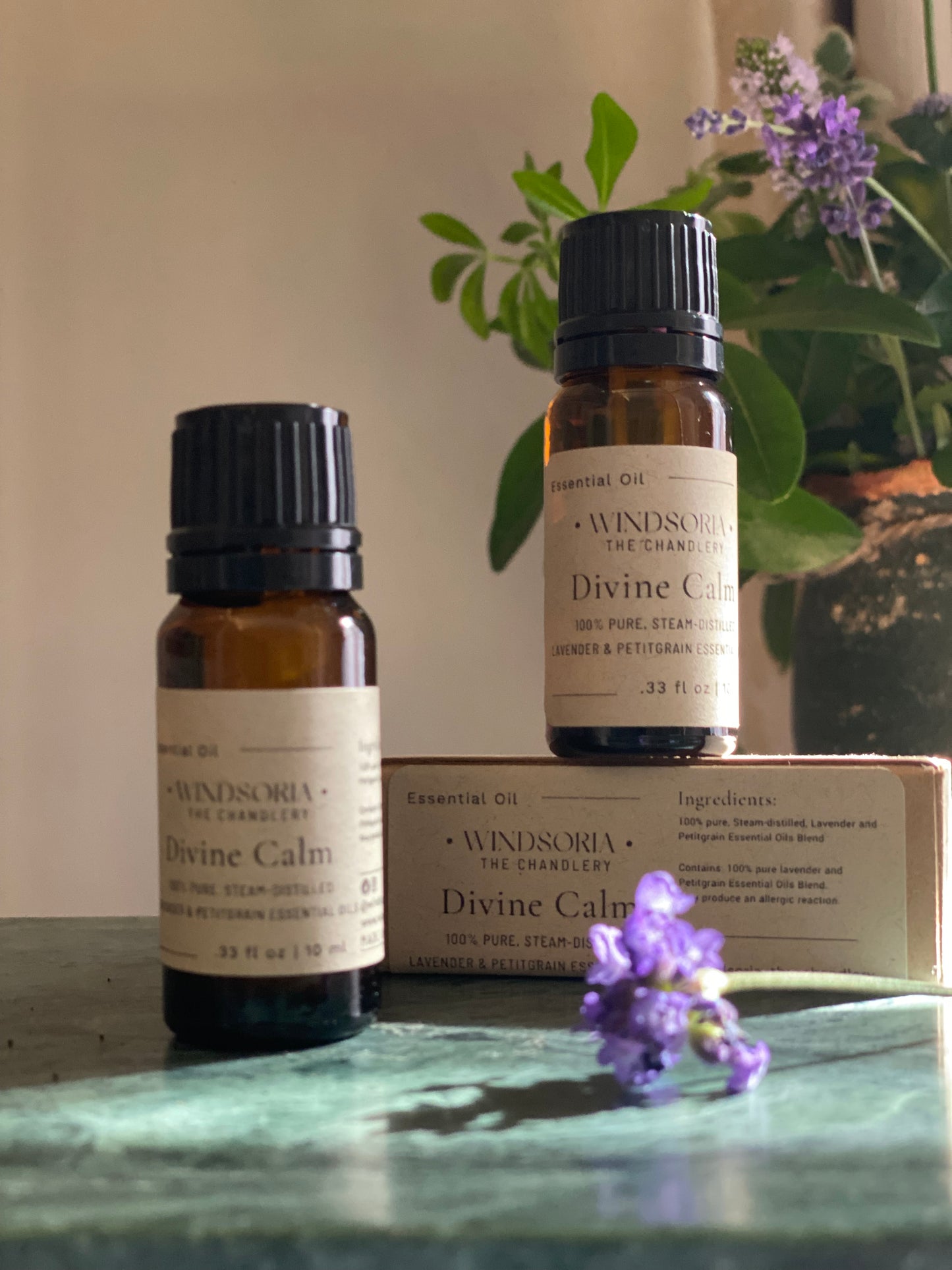 Essential oil blend. Pure essential oils. Aromatherapy essential oils. Natural wellness oils. Calming essential oil blend. Stress relief essential oils. Relaxation essential oil blend. Diffuser essential oils. Spa essential oil blend. Lavender essential oil blend. Organic essential oils. Therapeutic grade essential oils. Natural aromatherapy oils. Essential oils for relaxation. Essential oils for stress relief. Mood boosting essential oils. Essential oils for sleep support. Natural home fragrance oils.