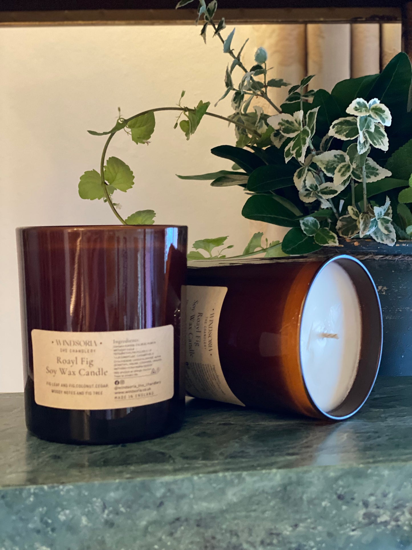 Royal Fig Soy Wax Candle _ Medium