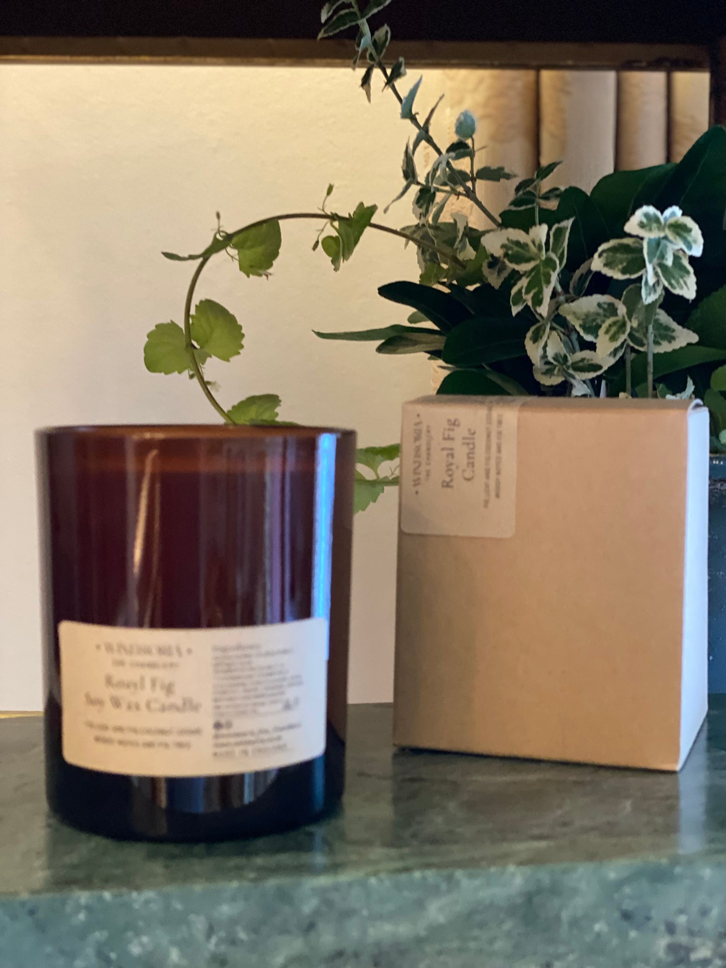 Royal Fig Soy Wax Candle _ Medium