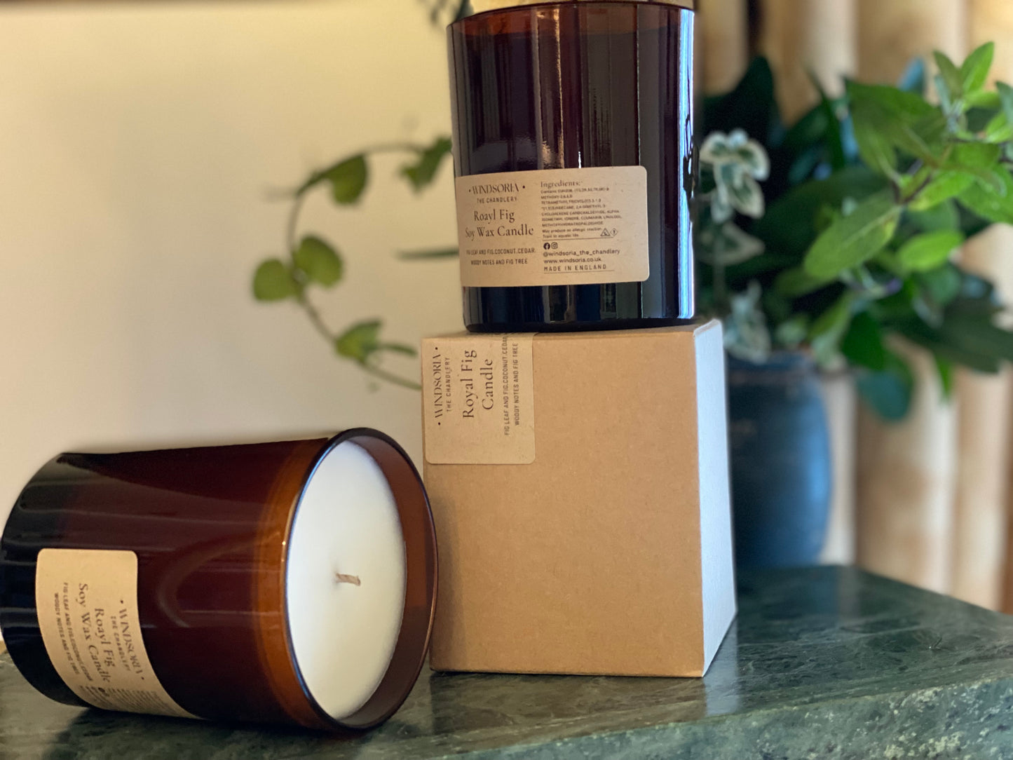 Royal Fig Soy Wax Candle _ Medium