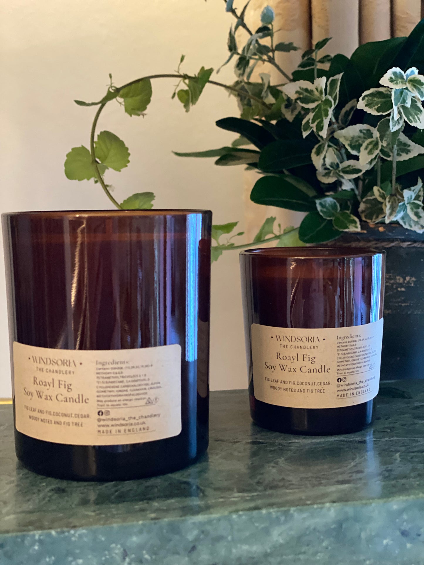 Royal Fig Soy Wax Candle _ Medium