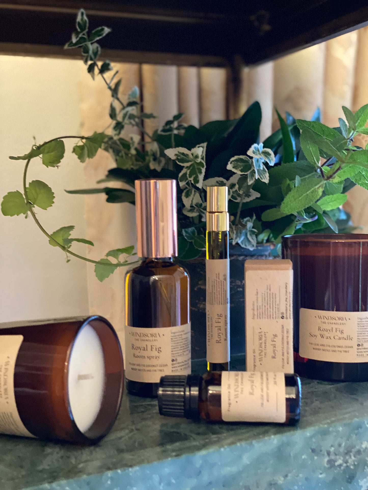 Entire Royal Fig Fragrance Collection Gift Set