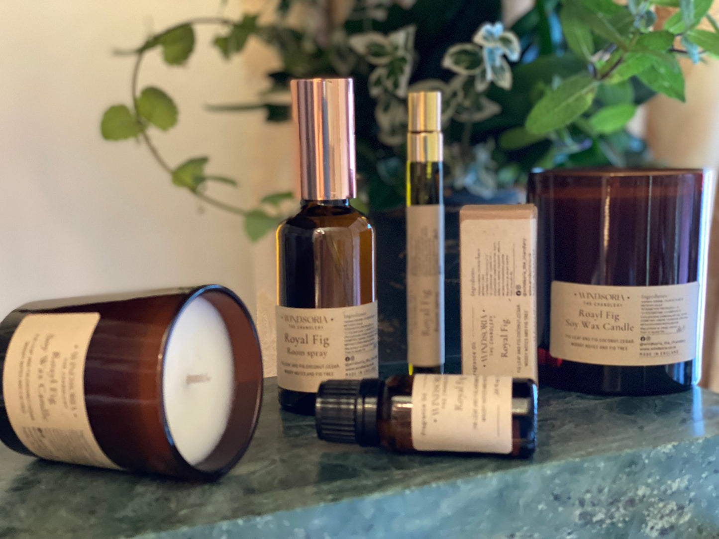 Entire Royal Fig Fragrance Collection Gift Set