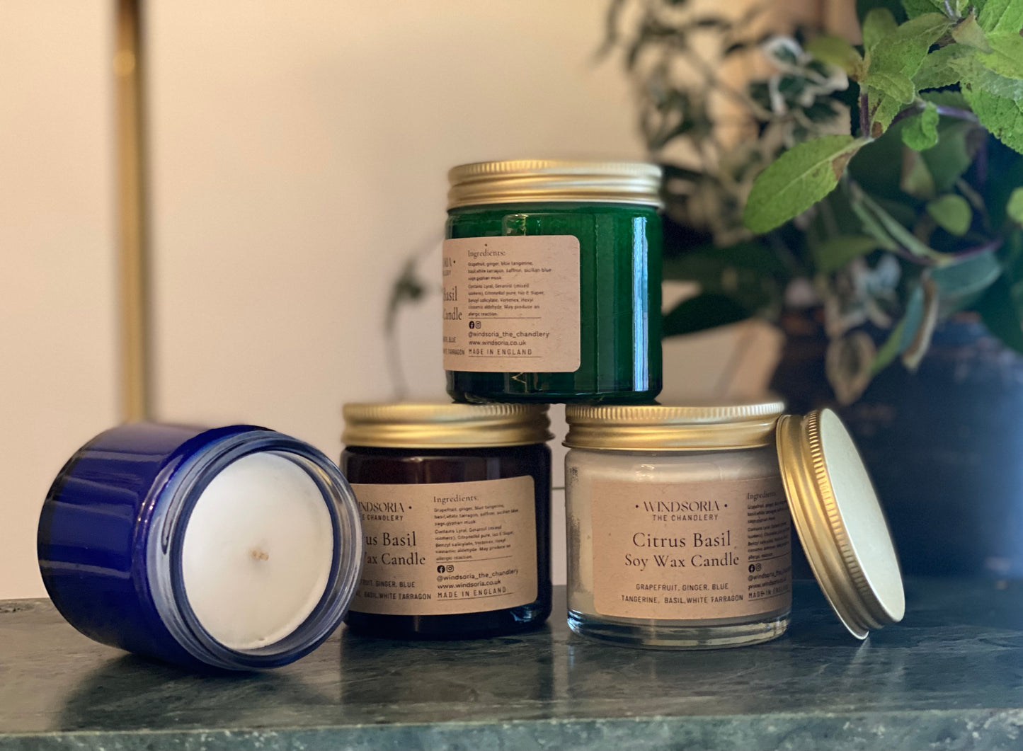 Citrus Basil Soy Wax _ Mini Jar