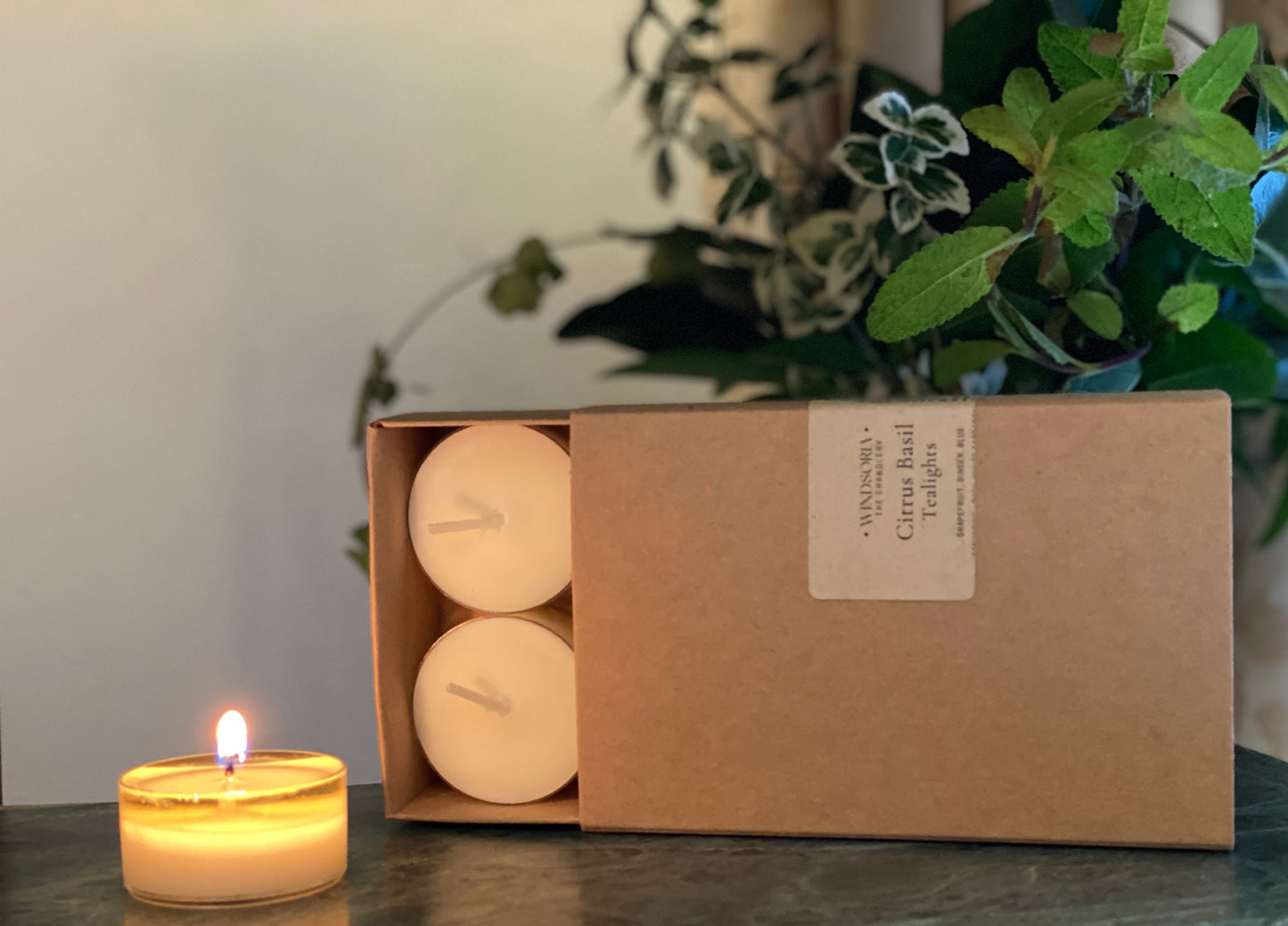 Citrus Basil Soy Wax Tealights