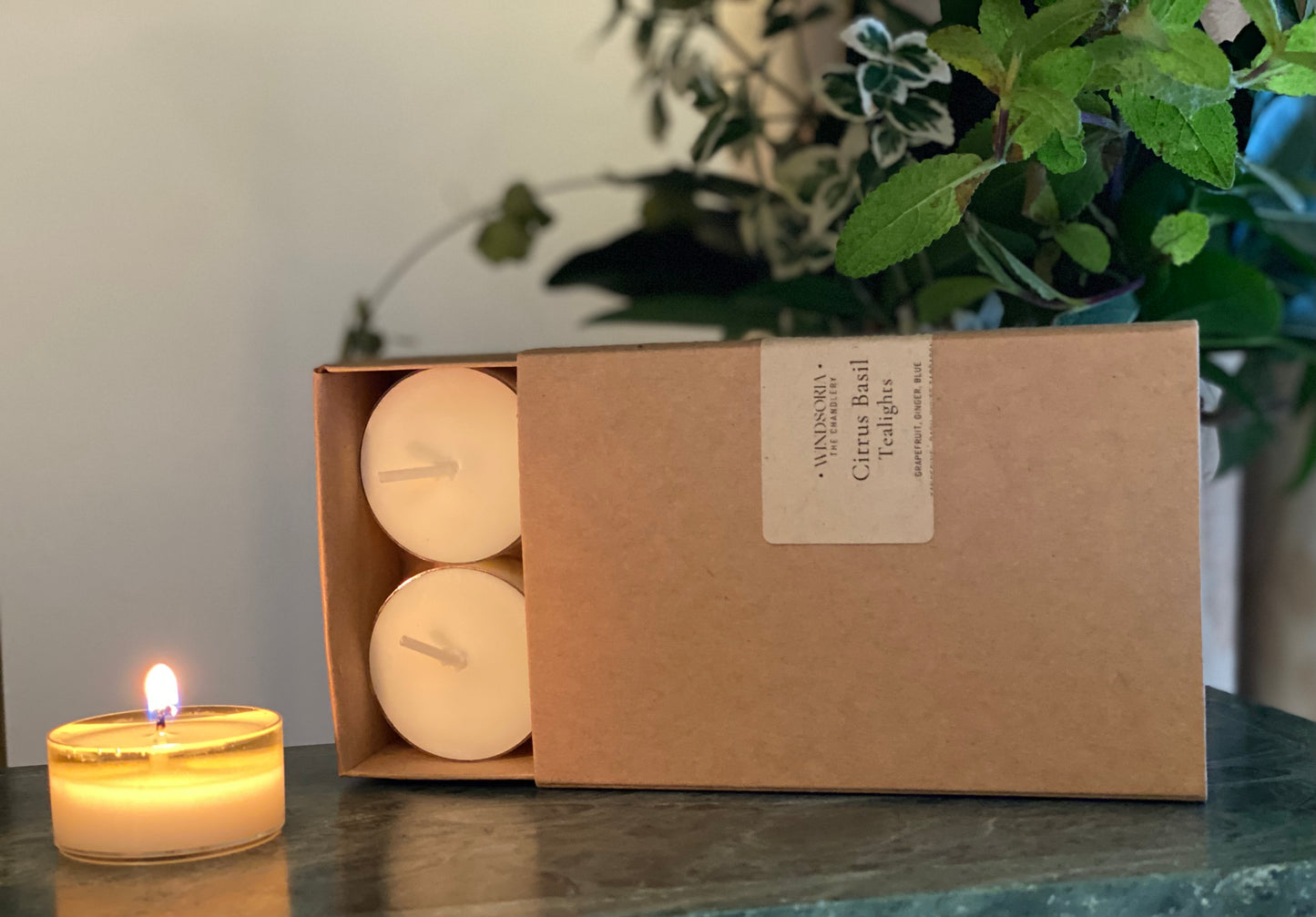 Citrus Basil Soy Wax Tealights