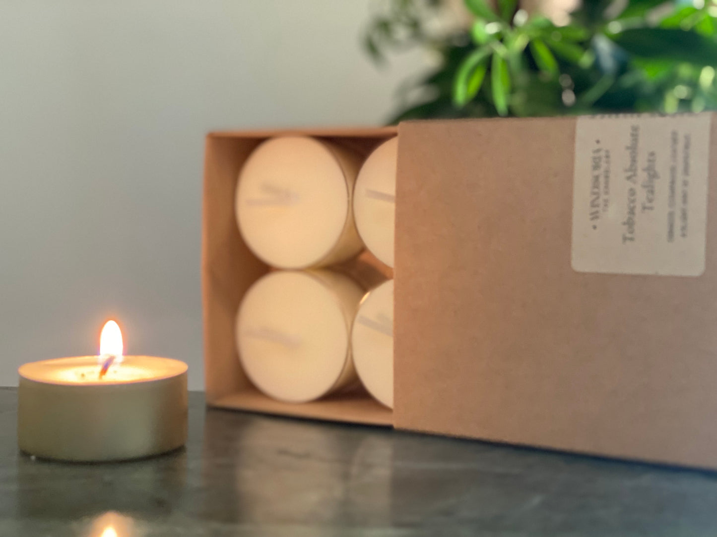 Tobacco Absolute Soy Wax Tea Lights