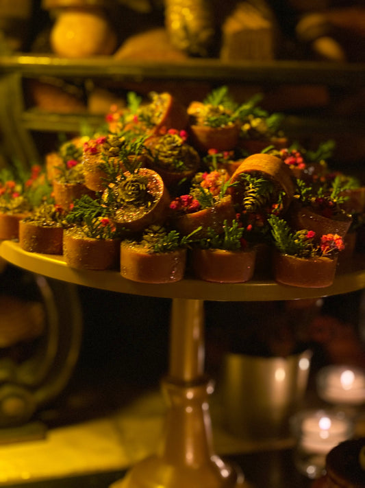 Luxury christmas wax melts, highly fragranced wax melts, christmas botanical wax melts