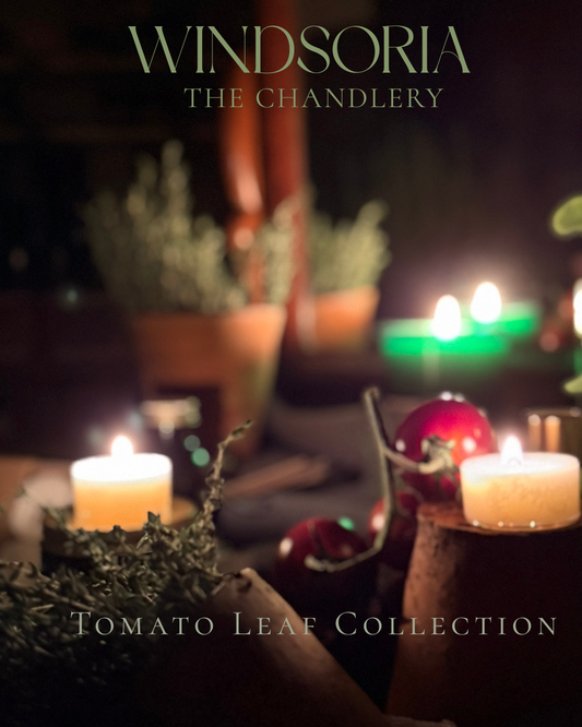 Tomato Leaf, Tomato Leaf Fragrance, Tomato Leaf Collection, Tomato Vine, Green Tomato Vine, Home Fragrance, Luxury Home Fragrance