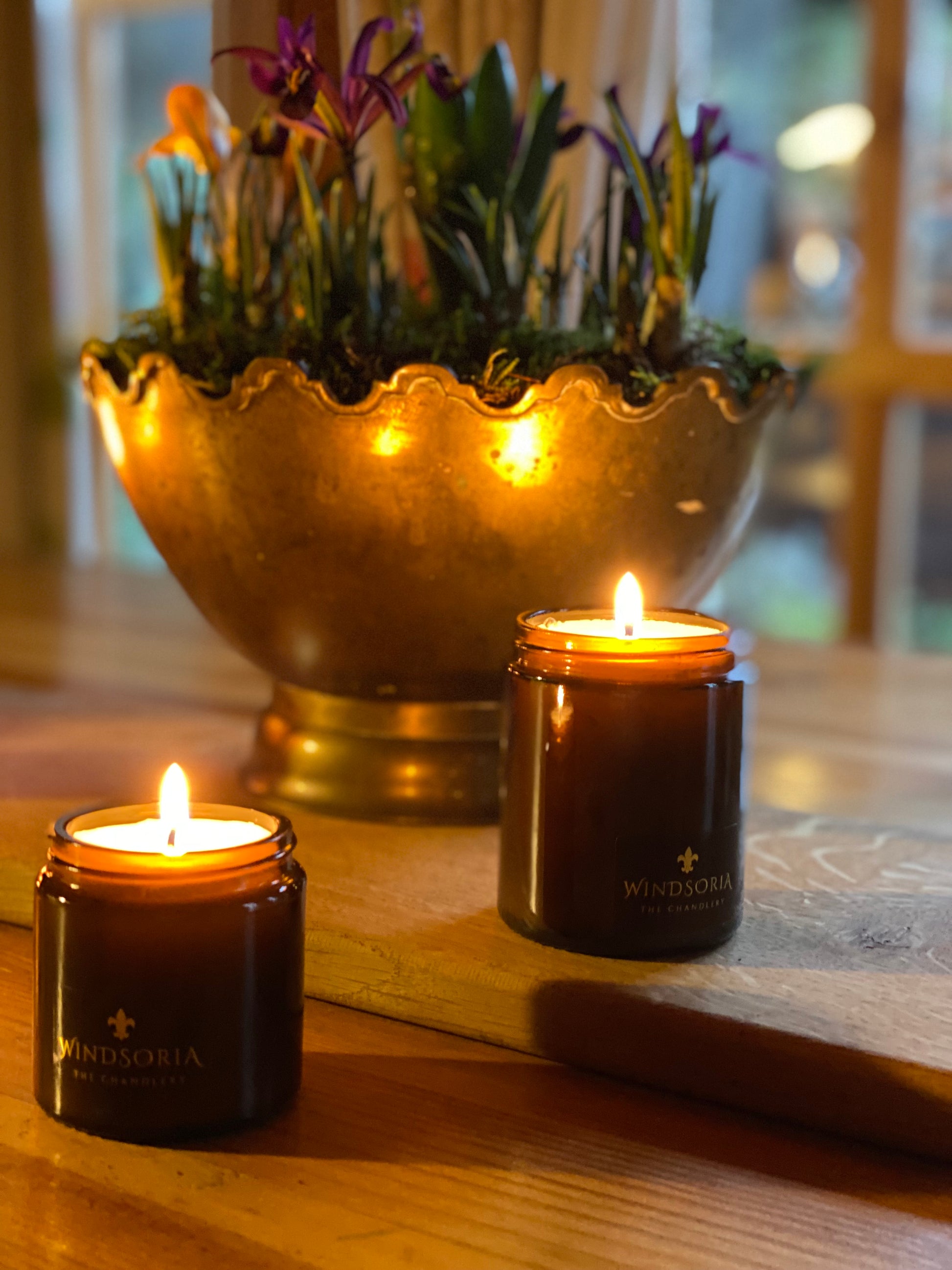 Candle Making Workshops Windsor. Candle Making Classes in Windsor. Candle Crafting Courses Windsor. Learn Candle Making Windsor. Creative Candle Workshops Windsor. Handmade Candle Classes Windsor. Candle Artistry Workshops in Windsor. Candle Making Lessons by Windsoria. Windsor Candle Making Events. Windsor Candle Crafting Workshops. Best Candle Making Workshops in Windsor. Professional Candle Making Classes Windsor. Unique Candle Making Experiences Windsor. Custom Candle Workshops Windsor.