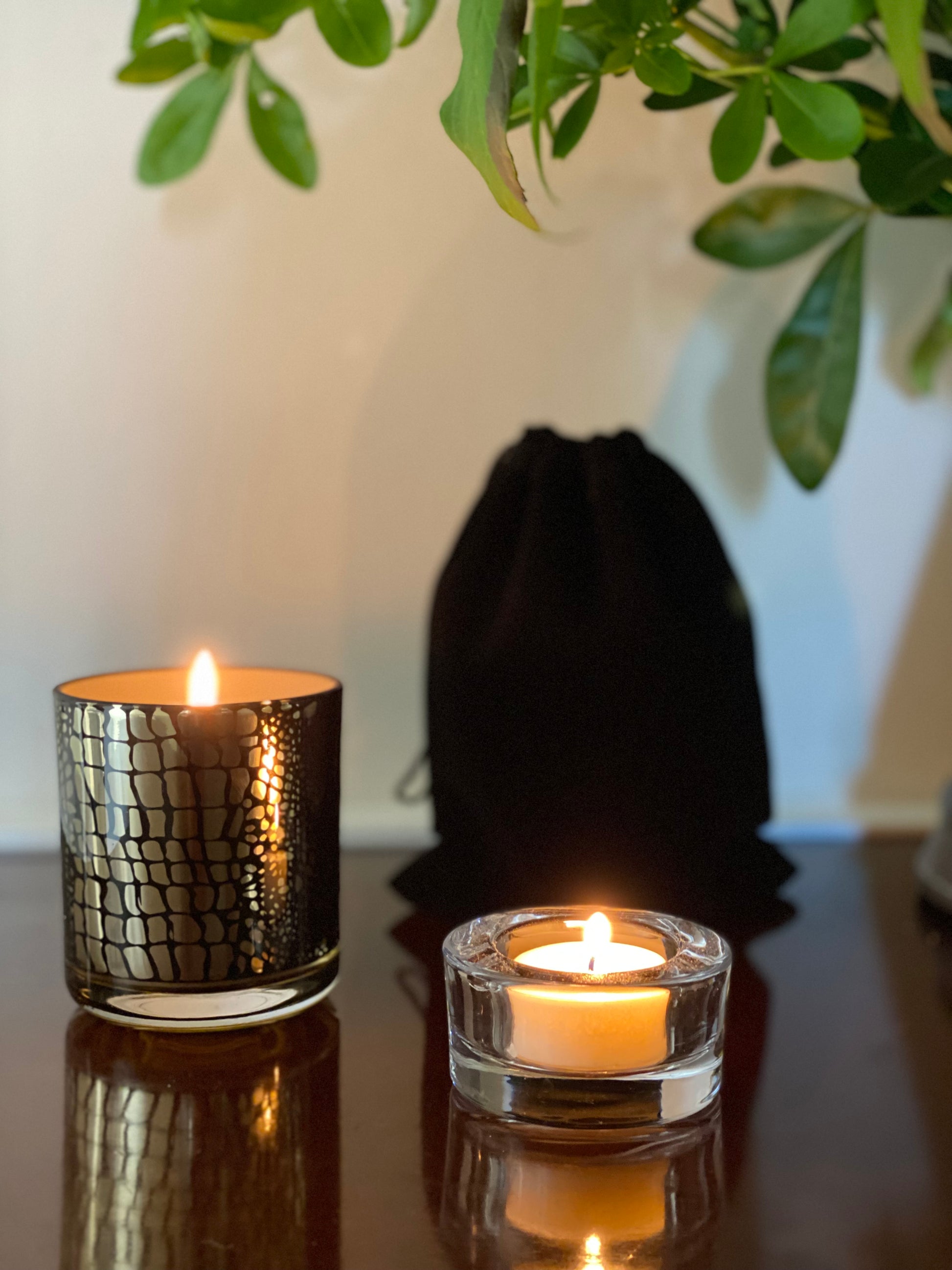 Emperor scent for him Soy Wax Candle. Python Collection. The pythin Collection Soy Wax Candle. Emperor floral luxury Scented Candle. Cleo Signature Candle. Emperor Scented Soy Wax.Candle Workshops Windsor. Windsor Candle Making for Beginners. Premium Candle Workshops by Windsoria. Windsor's Soy Wax Candle Crafting Workshops. Corporate Gifts Windsor. 