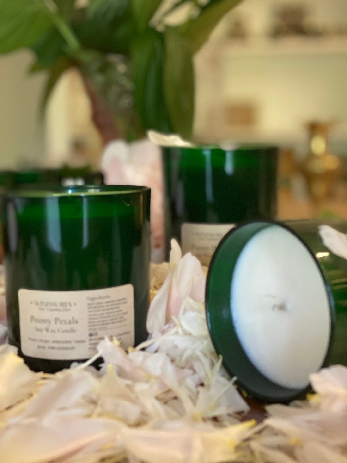 Chemical free home fragrance.  Home Fragrances. Non toxic room sprays. Sustainable home scents. Phthalate free candles. Eco Friendly Home Fragrances. Visitng Windsor candle making workshops. Private candle making workshop. Home based candle making workshop. Visitng Windsor candle making workshops. Private Candle Making Workshops at your Home. Home based Candle making workshops. Candle making courses, workshops in Berkshire. Home fragrance workshops Windsor, Berkshire. Essential oil diffusers. Natural home f