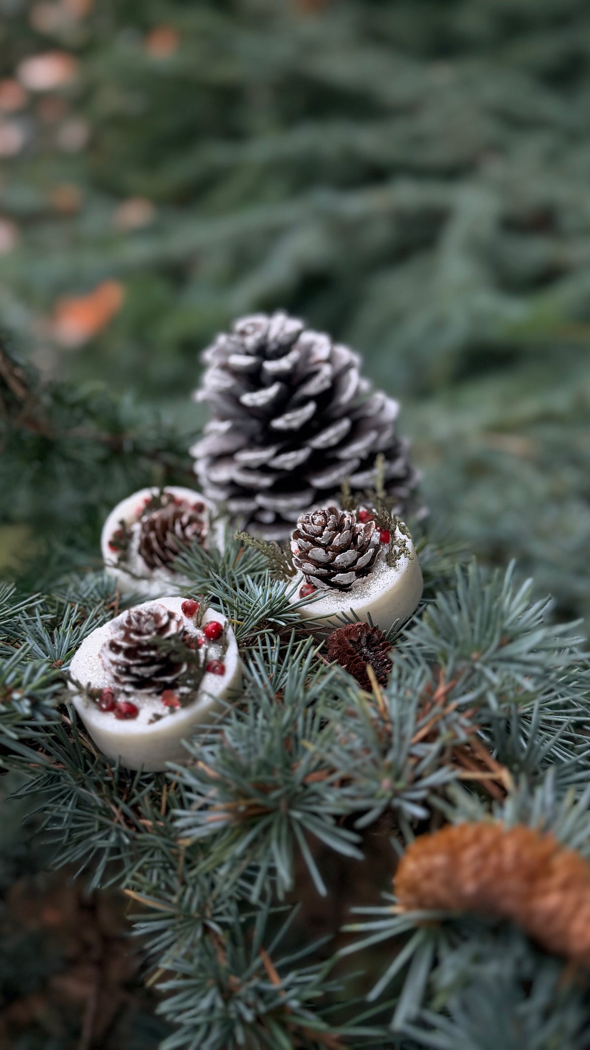 Christmas gift ideas UK, last minute Christmas gift, last minute Christmas present, last minute gift, last minute gift ideas, last minute gift card, last minute Christmas gift ideas, Christmas gift delivered instantly, Christmas gift by email, Christmas eVoucher, Christmas 2026, Christmas 2026 gift, Christmas gift card 2026, festive gift, festive gift card, festive gifting, festive season gift, Xmas gift card, Xmas gift, Xmas present, Christmas stocking filler, stocking filler, stocking filler gift card, st