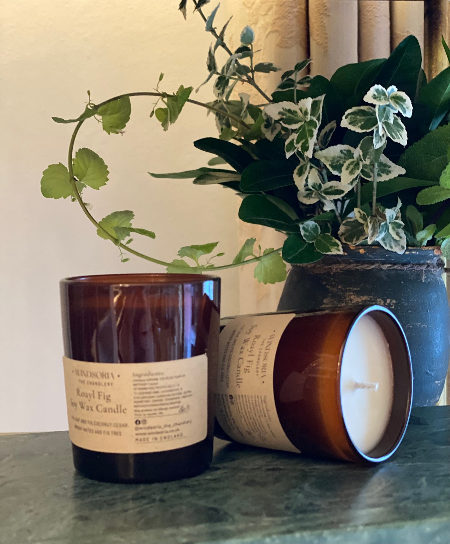 Royal Fig Soy Wax Candle _ Small