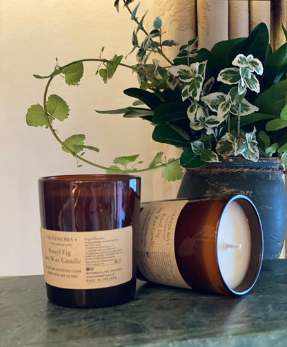 Royal Fig Soy Wax Candle _ Small