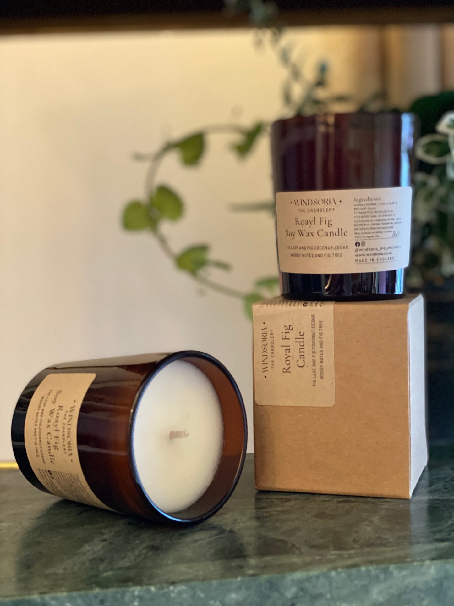 Royal Fig Soy Wax Candle _ Small