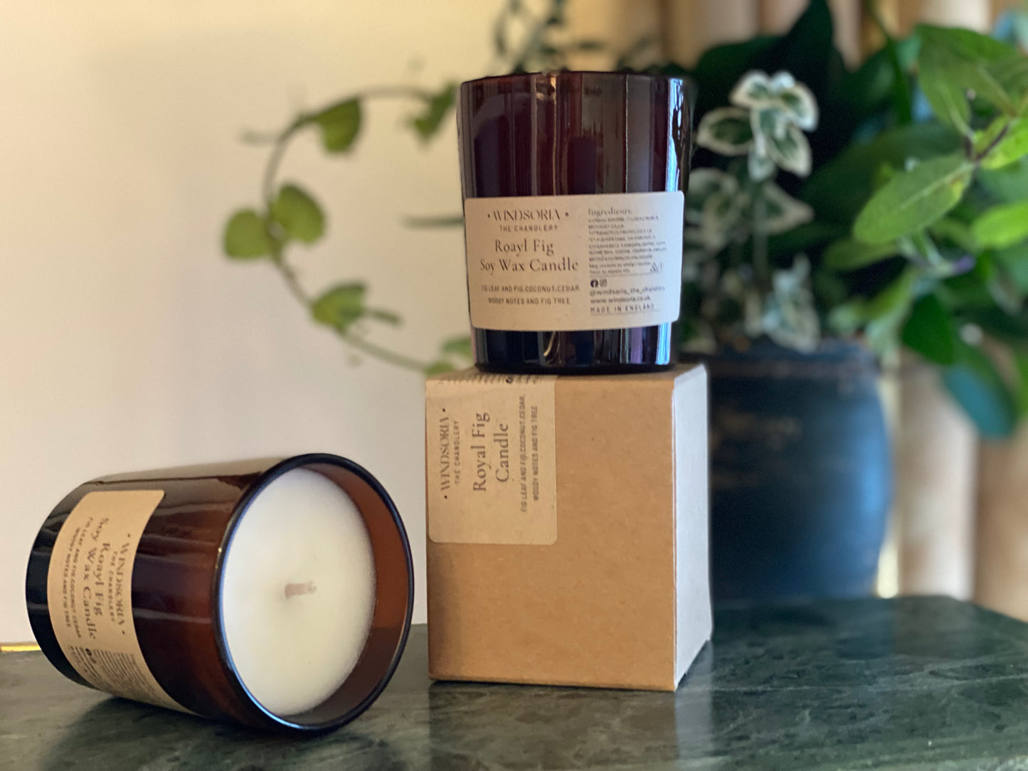 Royal Fig Soy Wax Candle _ Small