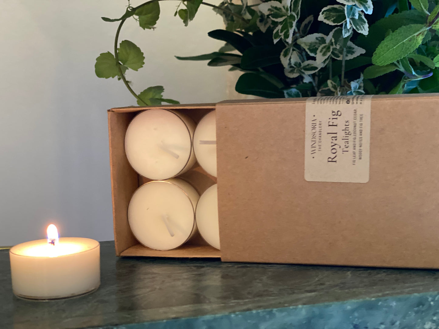 Royal Fig soy wax tealights