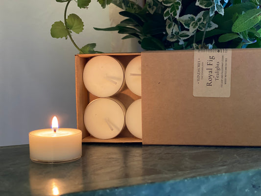 Royal Fig soy wax tealights