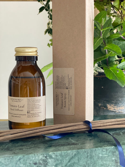 Non toxic candles .Natural Home Fragrance. Non toxic home Fragrance. Non Toxic Air Freshener. Natural Room Sprays & Home Fragrance. 100% Plant Based Room Sprays & Candles .The Best Non toxic Natural Car Air Fresheners. Aromatherapy Candles and home fragrances