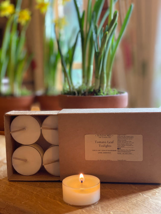 Candle and diffuser making workshops in Berkshire. Berkshire diffuser and candle making events. Mini candle gift set, luxury scented soy wax candles, soy wax candles Windsor, hand poured soy wax candles, aromatherapy candles, gift set for candle lovers, eco friendly candles, vegan candles, home fragrance, spa candles, SPA fragrances, meditation candles, relaxation candles, organic candles, fragrance oils, fragrance oils for diffusers. 